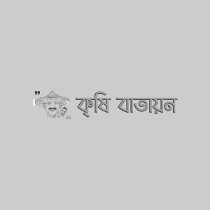 বারি পানিকচু-১