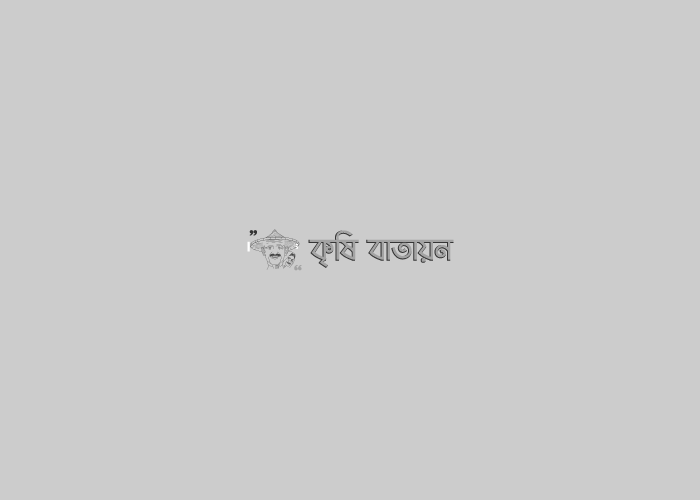 ডিএপি সারের কেজি এখন ১৬ টাকা : কৃষিমন্ত্রী ড. আব্দুর রাজ্জাক এমপি