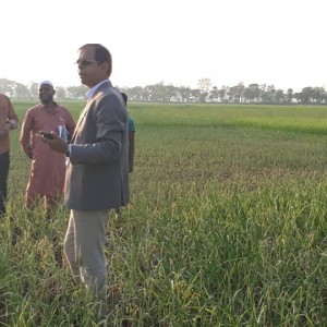 ক্ষতিগ্রস্থ-কৃষকের-পাশে-সম্মানিত-উপ-পরিচালক-(ডিএইফরিদপুর)-স্যার!